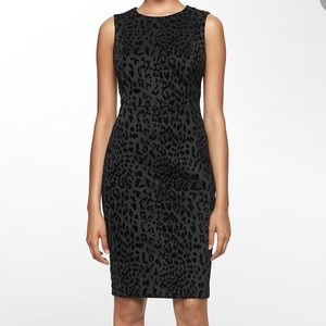 Calvin Klein velvet cheetah leopard burnout animal print dress sleeveless shift